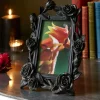Home Accessories<Joe Browns Black Rose Photo Frame