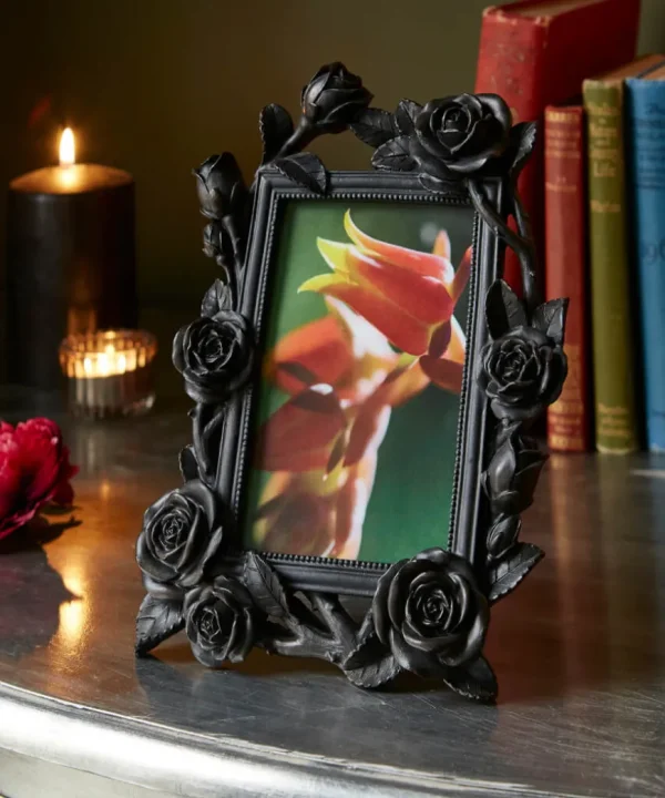 Home Accessories<Joe Browns Black Rose Photo Frame