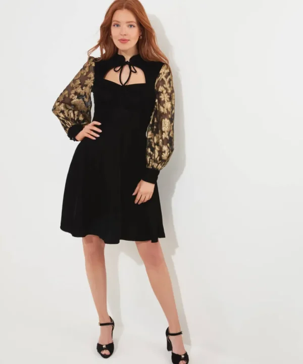 Dresses<Joe Browns Celeste Velvet Dress