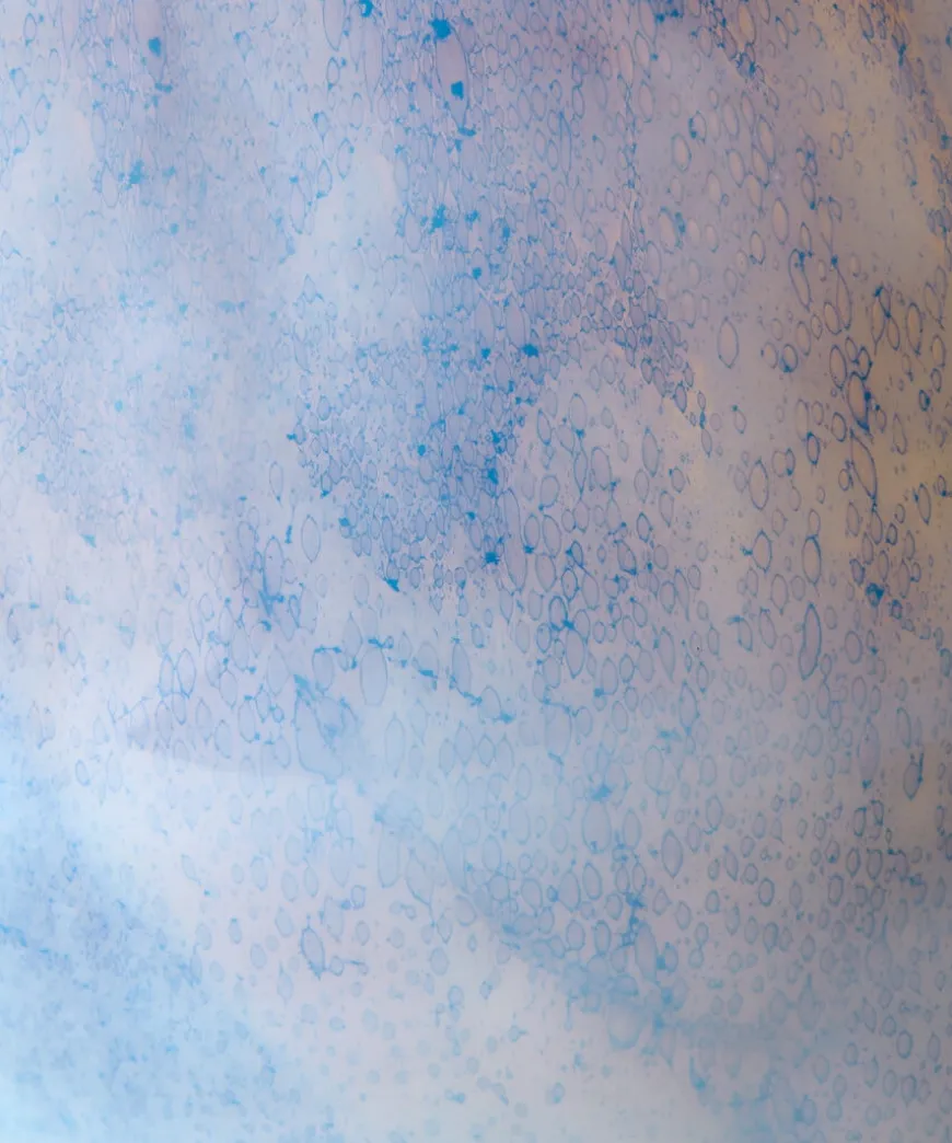 nouveau_blue_hue_vase_2.webp Home Accessories<Joe Browns Nouveau Blue Hue Vase