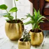 Nature Decor<Joe Browns Set Of 3 Statement Gold Hammered Planters