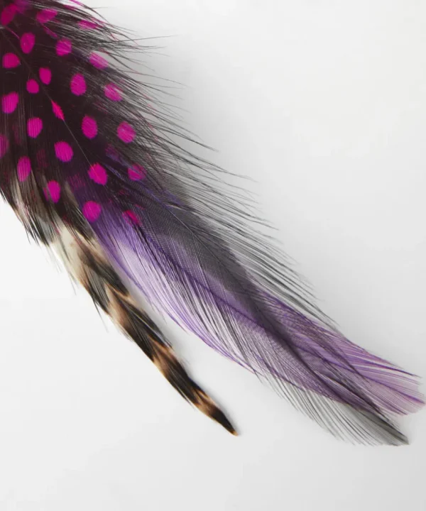 Accessories & Jewellery<Joe Browns Vibrant Feather Pin